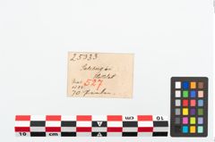 Etikett zu Perlenkette (NHMW-PRAE-025333)
